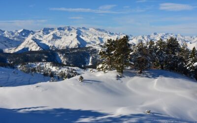 Blog 5 ¡ El primer día de esquí !