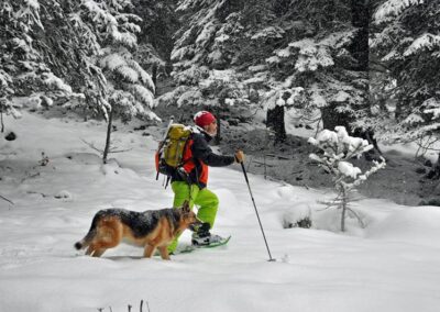 Snowshoes - raquetas de nieve 1