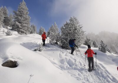 Snowshoes - raquetas de nieve 5