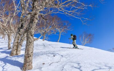 Los secretos de las pistas rojas más emocionantes de Baqueira: Descubre sus encantos