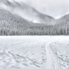 Como es la nieve de Baqueira en enero frente a febrero: Diferencias clave