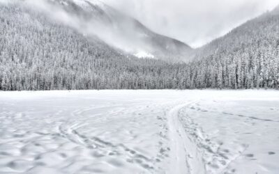 Como es la nieve de Baqueira en enero frente a febrero: Diferencias clave