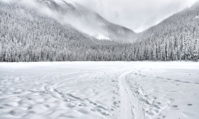 Como es la nieve de Baqueira en enero frente a febrero: Diferencias clave