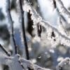 Cómo funciona la innivación en Baqueira: la nieve garantizada para tus días de esquí