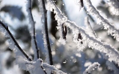 Cómo funciona la innivación en Baqueira: la nieve garantizada para tus días de esquí