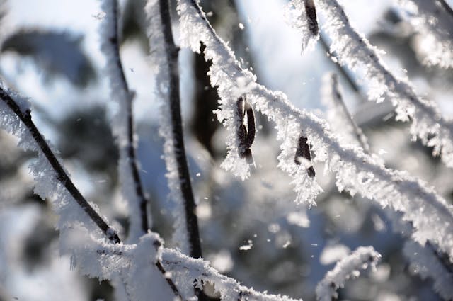 Cómo funciona la innivación en Baqueira: la nieve garantizada para tus días de esquí