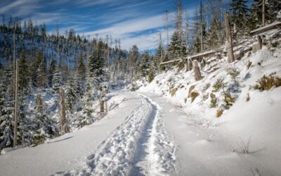Experiencias únicas en Baqueira más allá de las pistas: aventuras y gastronomía en el corazón de los Pirineos