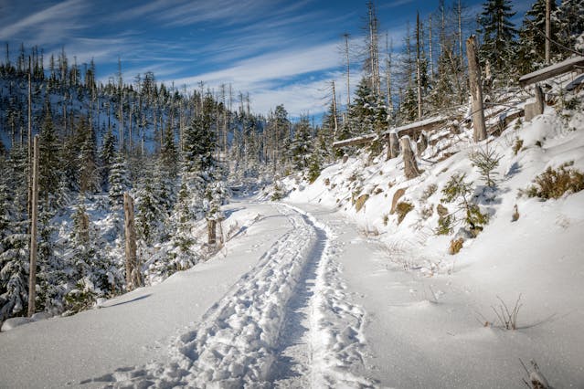 Experiencias únicas en Baqueira más allá de las pistas: aventuras y gastronomía en el corazón de los Pirineos