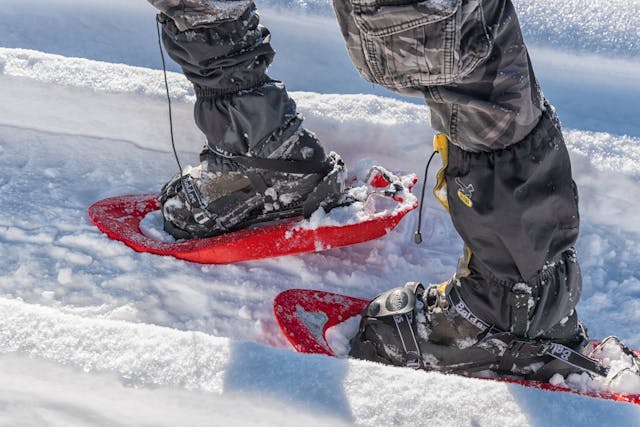Raquetas de nieve en Baqueira: rutas fáciles para principiantes en la nieve